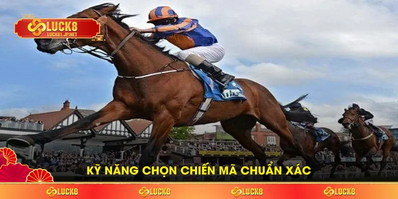 Kỹ năng chọn chiến mã chuẩn xác Kỹ năng chọn chiến mã chuẩn xác